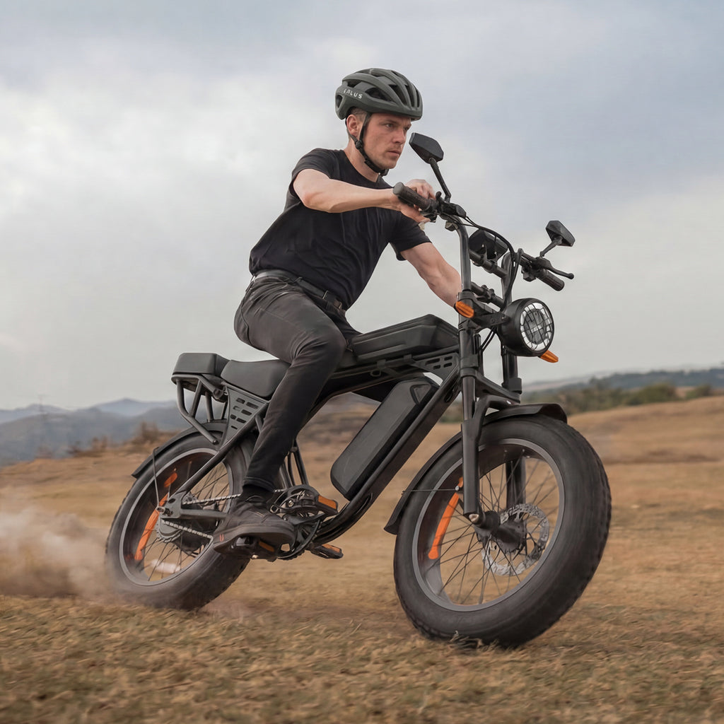 Aairsk X5 20" Electric City EBike for Adults, Fat Tire Ebike, 250W High Speed Brushless  Motor, Removable 48V 15Ah Battery, LCD Display with Card Access, Complimentary accessories