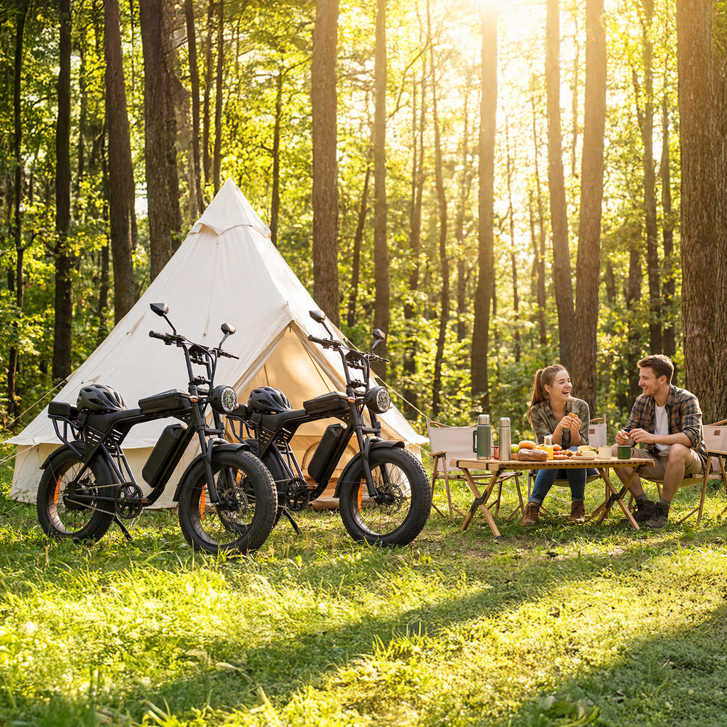Aairsk X5 20" Electric City EBike for Adults, Fat Tire Ebike, 250W High Speed Brushless  Motor, Removable 48V 15Ah Battery, LCD Display with Card Access, Complimentary accessories