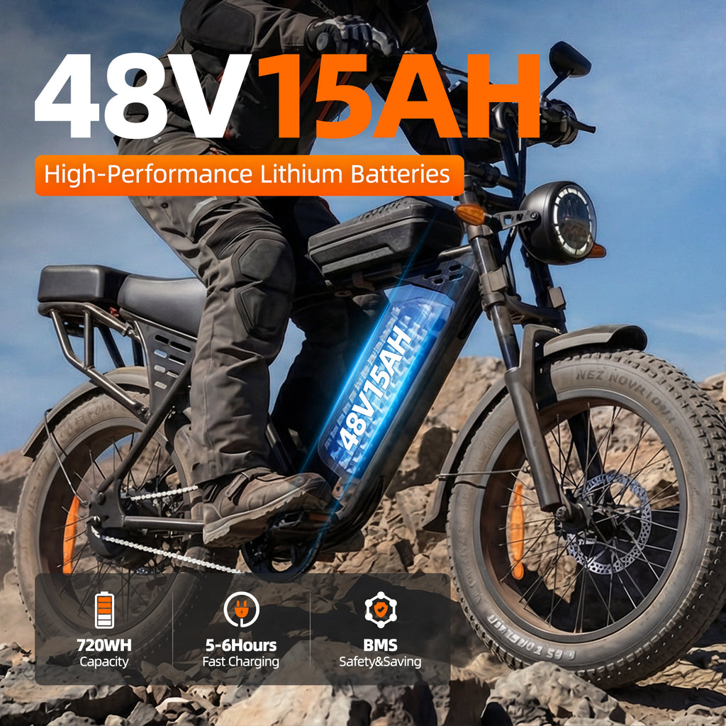 Aairsk X5 20" Electric City EBike for Adults, Fat Tire Ebike, 250W High Speed Brushless  Motor, Removable 48V 15Ah Battery, LCD Display with Card Access, Complimentary accessories