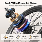 AAIRSK SU7 24-Inch Step-Through E-Bike for Commuting