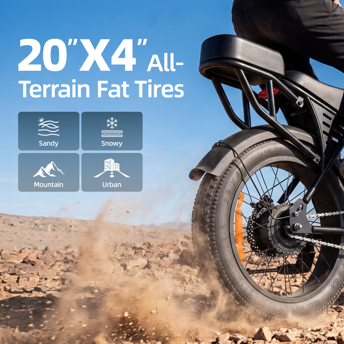 Aairsk X5 20" Electric City EBike for Adults, Fat Tire Ebike, 250W High Speed Brushless  Motor, Removable 48V 15Ah Battery, LCD Display with Card Access, Complimentary accessories